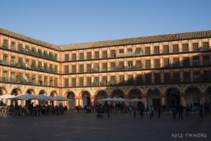 Kordoba Andaluzja Hiszpania zwiedzanie co zobaczyć