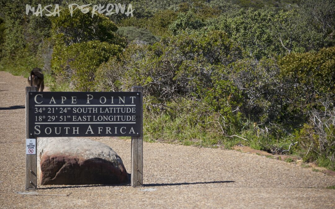 RPA: Pawiany z Przylądka Dobrej Nadziei i pingwiny z Boulders Beach